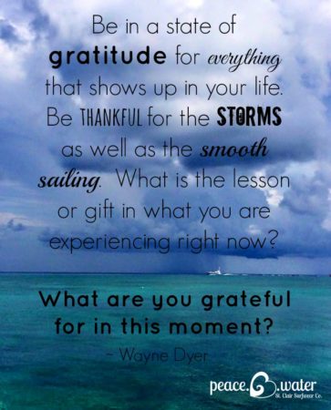 tortugastormquote-363x450