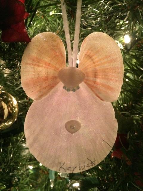 10690082_10152831939786648_2135002497047263985_n