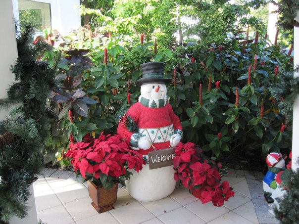 16978_308616836647_1512794_n