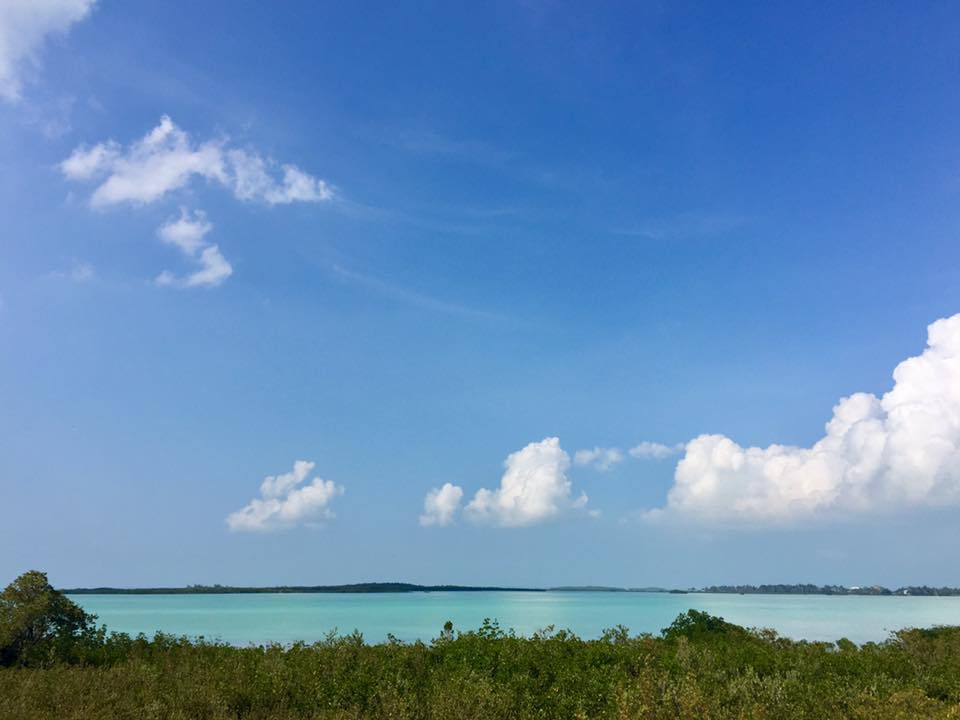 17523211_10154969885476648_3065580747359104274_n