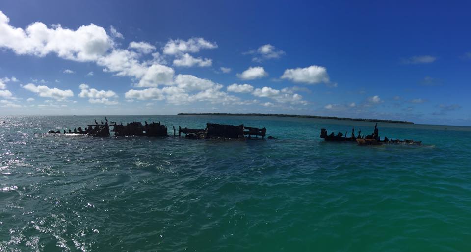 17629606_10154963595831648_5248575470846117628_n